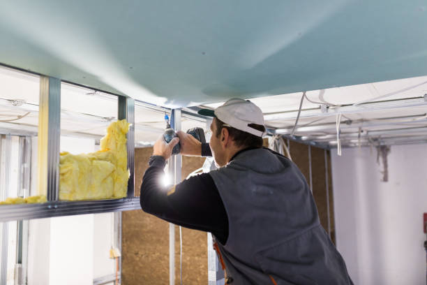 Best Geographic-Specific Insulation Services in Reedsburg, WI