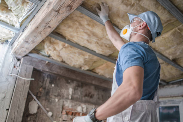 Best Eco-Friendly Insulation in Reedsburg, WI